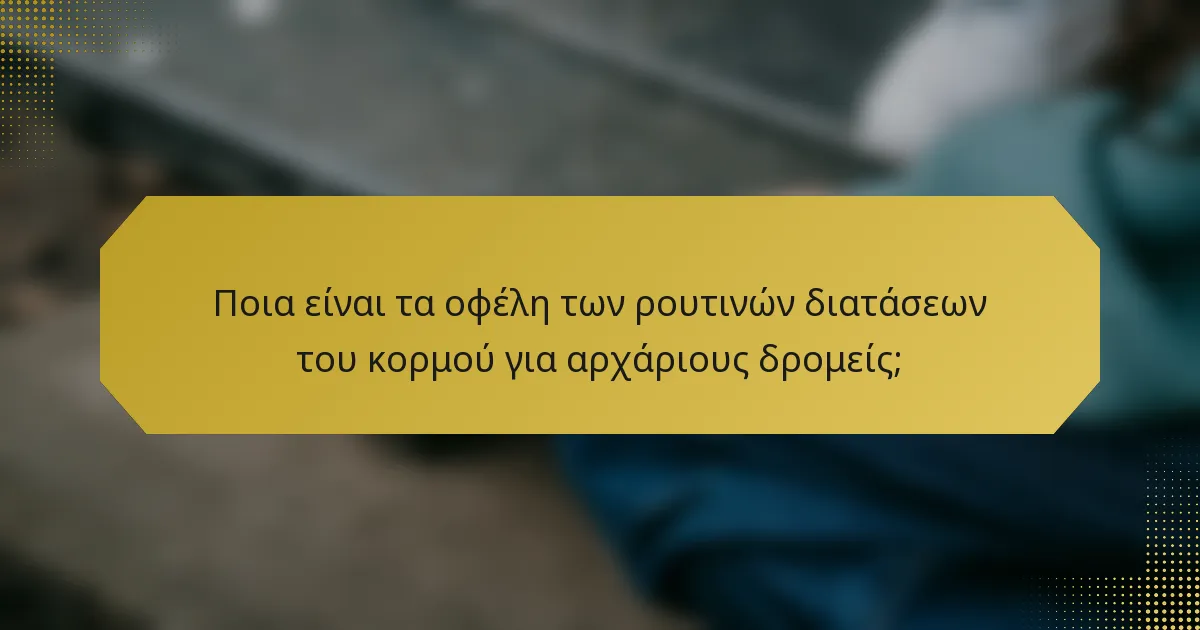 Ποια είναι τα οφέλη των ρουτινών διατάσεων του κορμού για αρχάριους δρομείς;