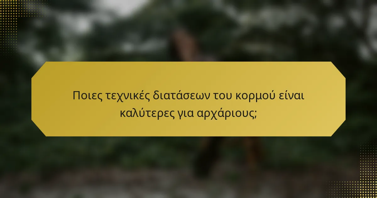 Ποιες τεχνικές διατάσεων του κορμού είναι καλύτερες για αρχάριους;